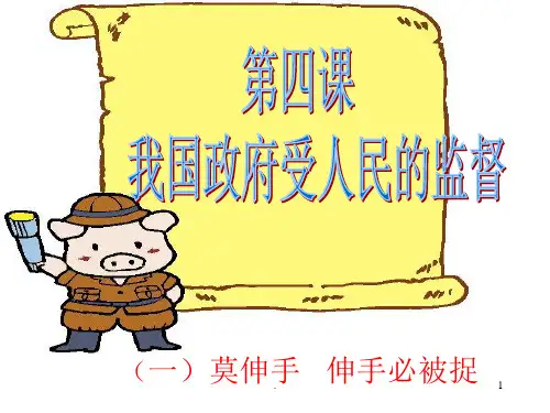 依法行政PPT文档资料