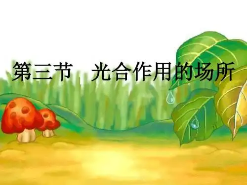冀少版八年级生物上册第三单元第三章第三节《光合作用的场所》(15张)