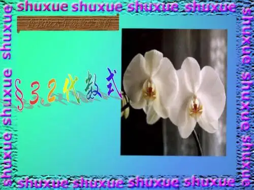 代数式第二课