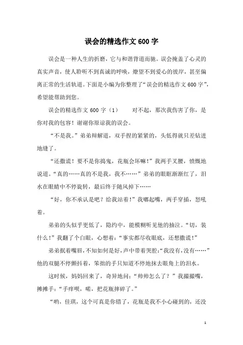 误会的精选作文600字