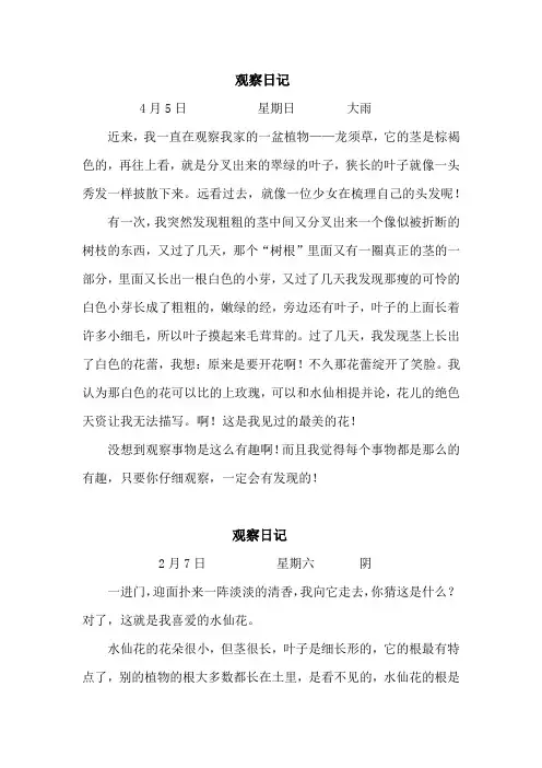 观察日记