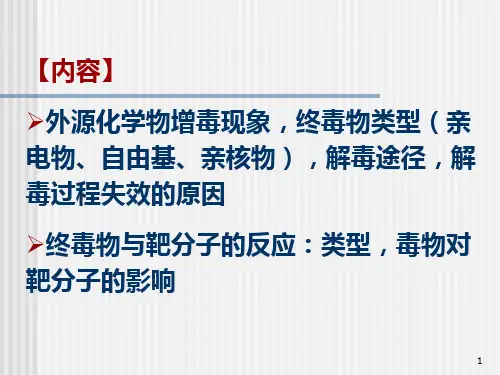 毒理学 毒性机制_PPT幻灯片