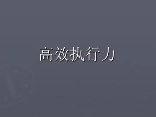 高效执行力