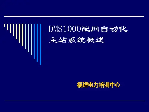 DMS1000配网自动化主站系统概述---文本资料