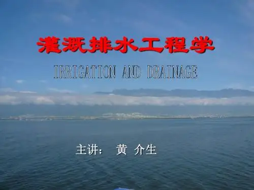 第九章 分区水利问题及其治理