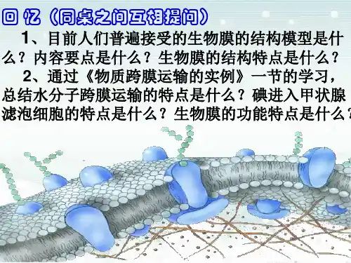 物质跨膜运输的方式