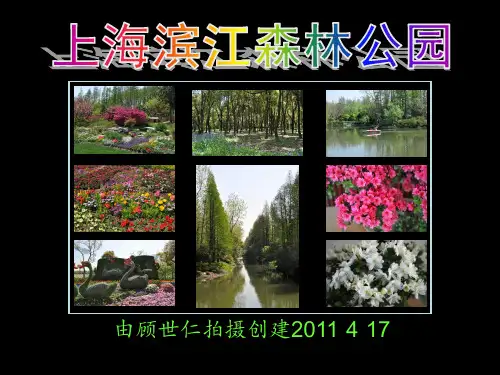 上海滨江森林公园知识讲解