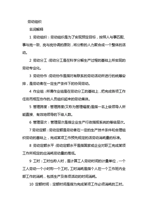 劳动组织名词解释