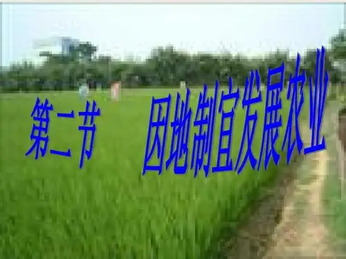 因地制宜发展农业课件
