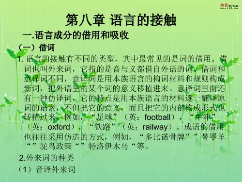 第八章 语言的接触