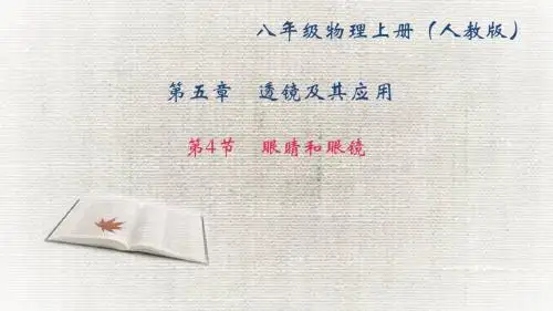 《眼睛和眼镜》练习题