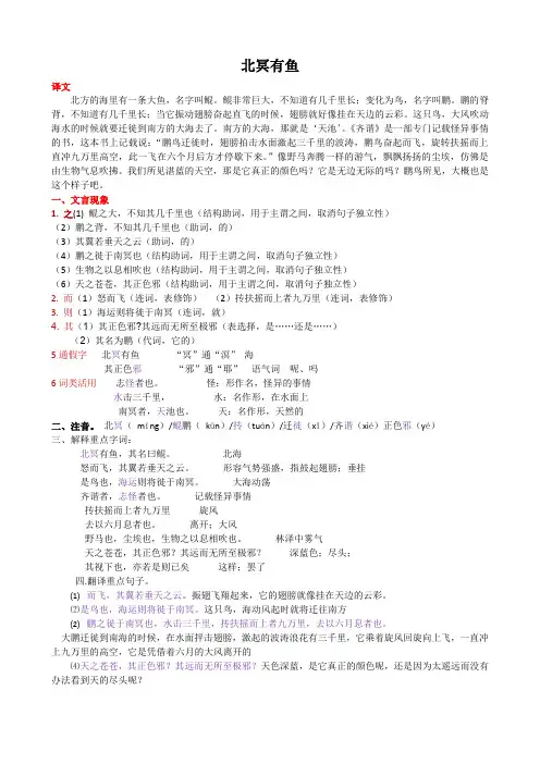 北冥有鱼
