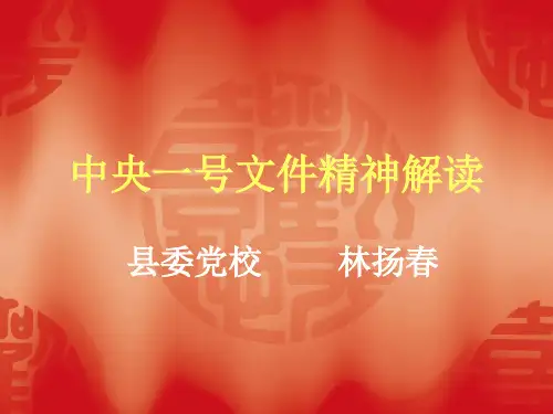中央一号文件精神解读