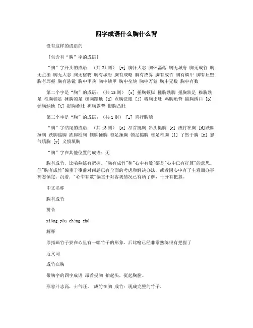 四字成语什么胸什么背