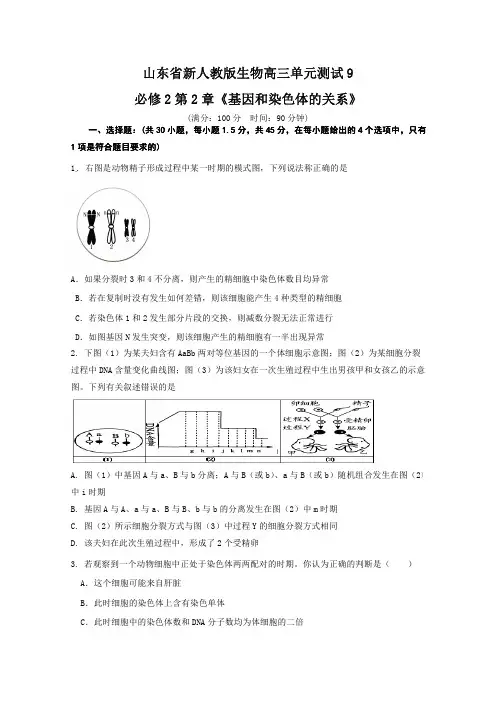 山东省新人教版生物2013届高三单元测试9：必修2第2章《基因和染色体的关系》