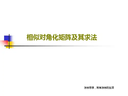相似对角化矩阵及其求法共42页文档