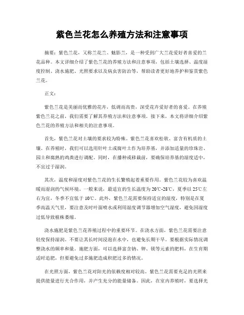 紫色兰花怎么养殖方法和注意事项
