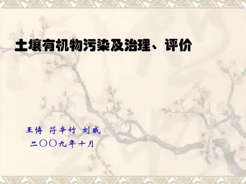 环境化学(zuizhongban)2