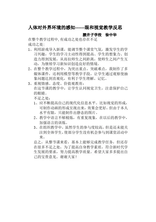 眼和视觉教学反思