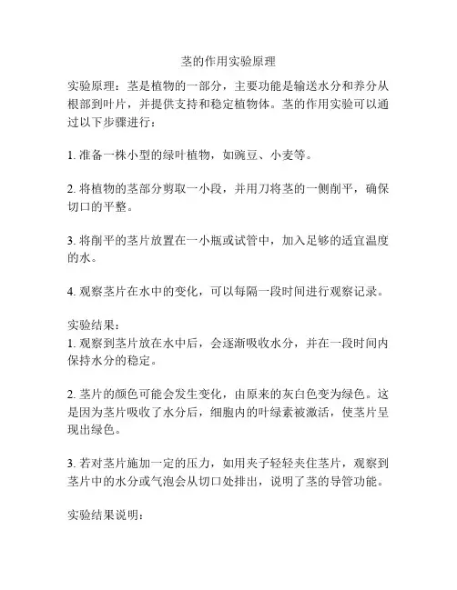 茎的作用实验原理