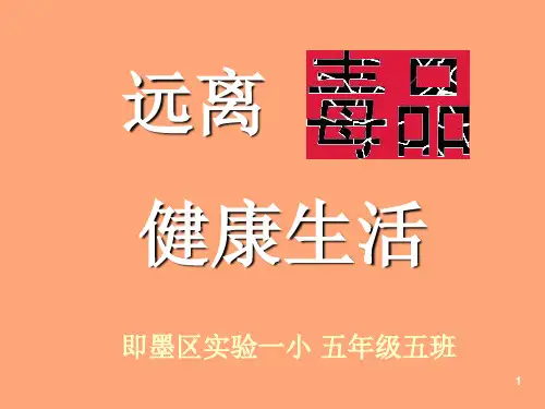 远离毒品健康生活PPT课件
