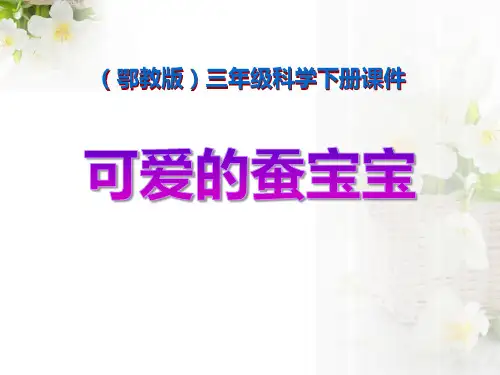 可爱的蚕宝宝_PPT课件
