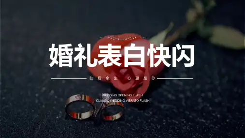 婚礼表白誓言快闪ppt