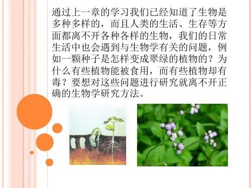 《第一节 常见的生物学研究方法》 PPT课件