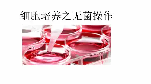 细胞培养—无菌操作.ppt