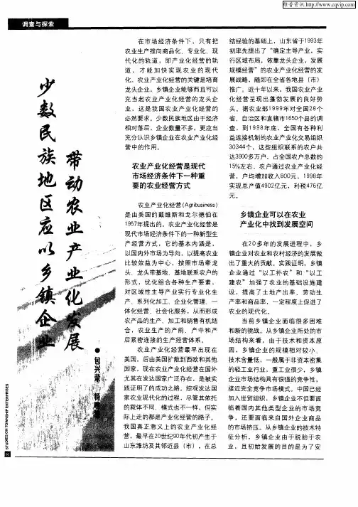 少数民族地区应以乡镇企业带动农业产业化发展