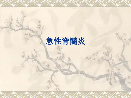 急性脊髓炎的护理常规ppt课件