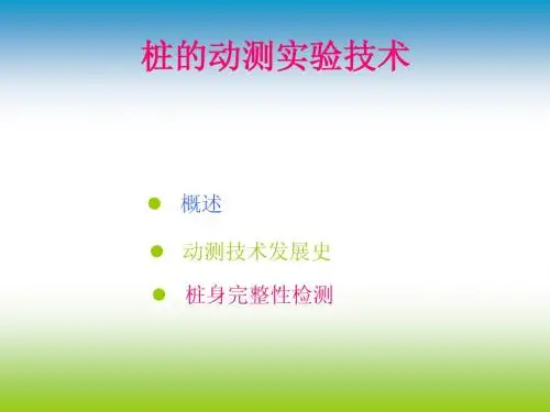 桩的动测实验技术