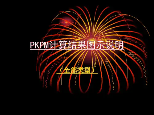 PKPM计算结果图示说明