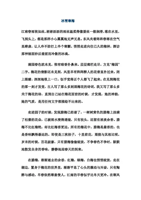 冰雪寒梅