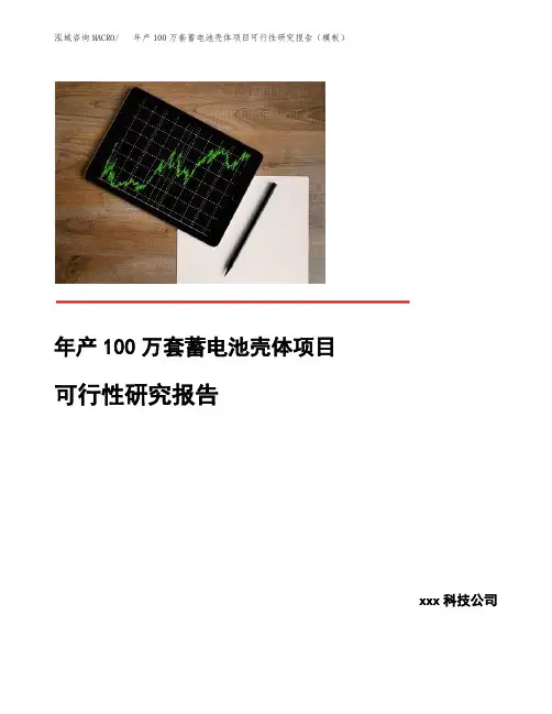 年产100万套蓄电池壳体项目可行性研究报告(模板)