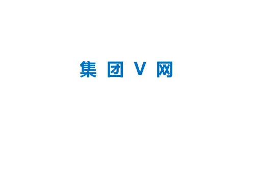 集团v网(培训课件)