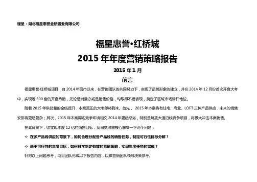 终武汉福星惠誉红桥城度营销策略报告精选