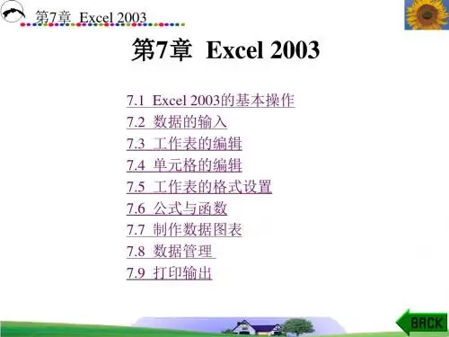 第7章 Excel 2003