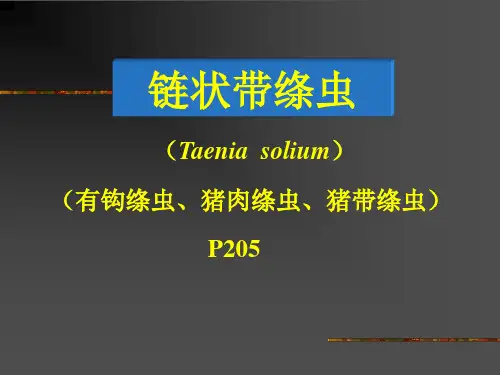 4.带绦虫线虫概论蛔虫鞭虫(护本)