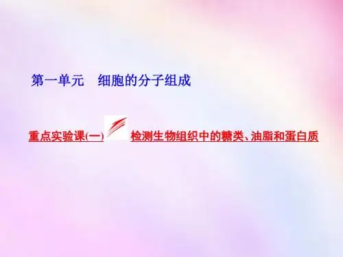 2016高考生物一轮复习 重点实验课(一)检测生物组织中的糖.