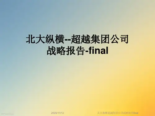 北大纵横超越集团公司战略报告final