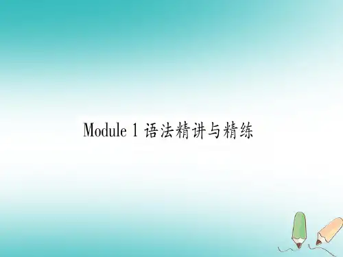 广西北部湾经济区2018秋九年级英语下册 Module 1 Travel语法精讲与精练习题课件 (新版)外研版