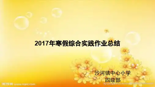 寒假综合实践作业总结
