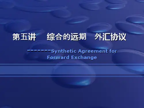 第五章综合的远期外汇协议总结