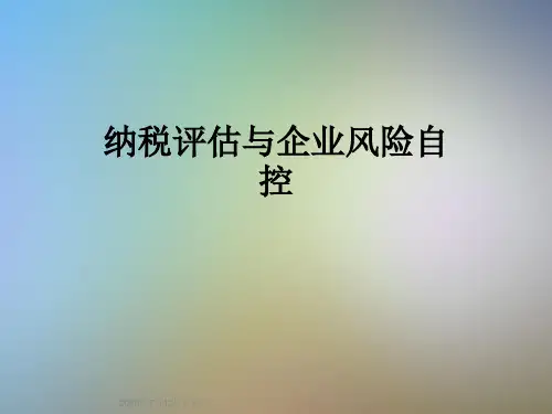 纳税评估与企业风险自控