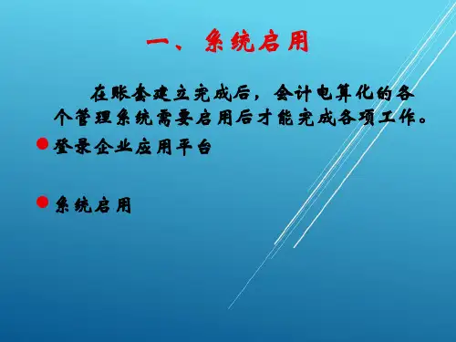 会计电算化实务第3章基础设置