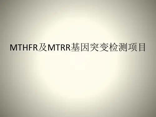MTHFR和MTRR基因突变检测项目