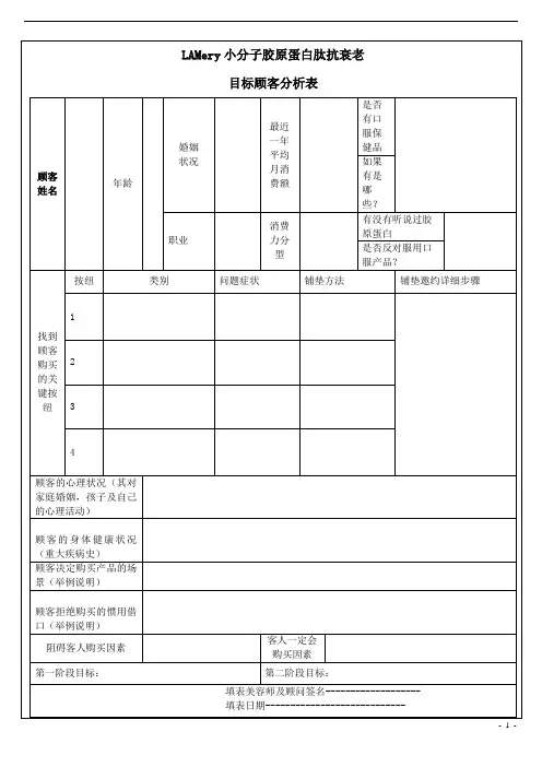 LAMery目标顾客分析表
