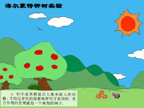 趣味故事:海尔蒙特柳树实验