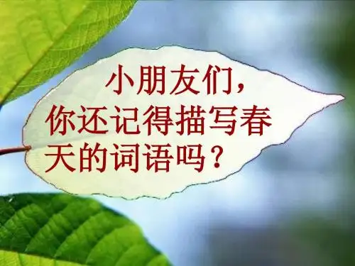 最新人教版小学一年级语文下册2春雨的色彩课件